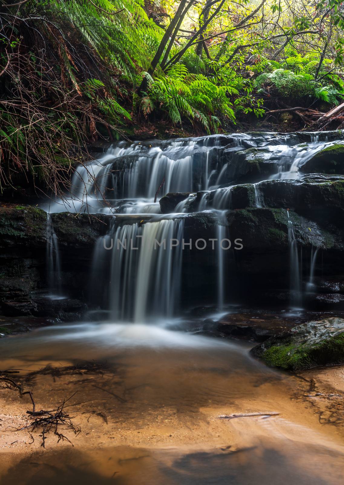 Waterfall cascading down over rocks in a fern filled gully in Leura