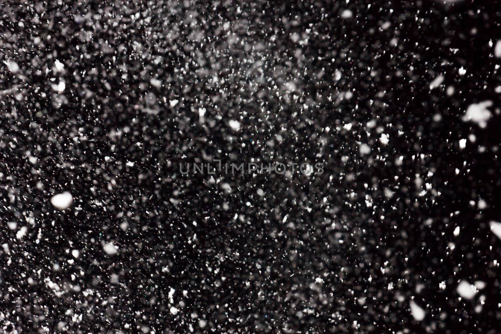 white snow falls on the black sky. Snowstorm on a black background. In isolation. heavy snowfall.  drifts. severe winter.the texture is heavy snowfall on a black background