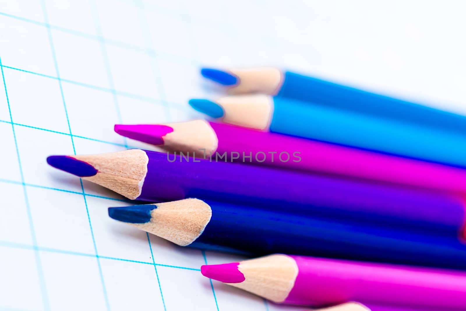 colored pencils bilateral in the set