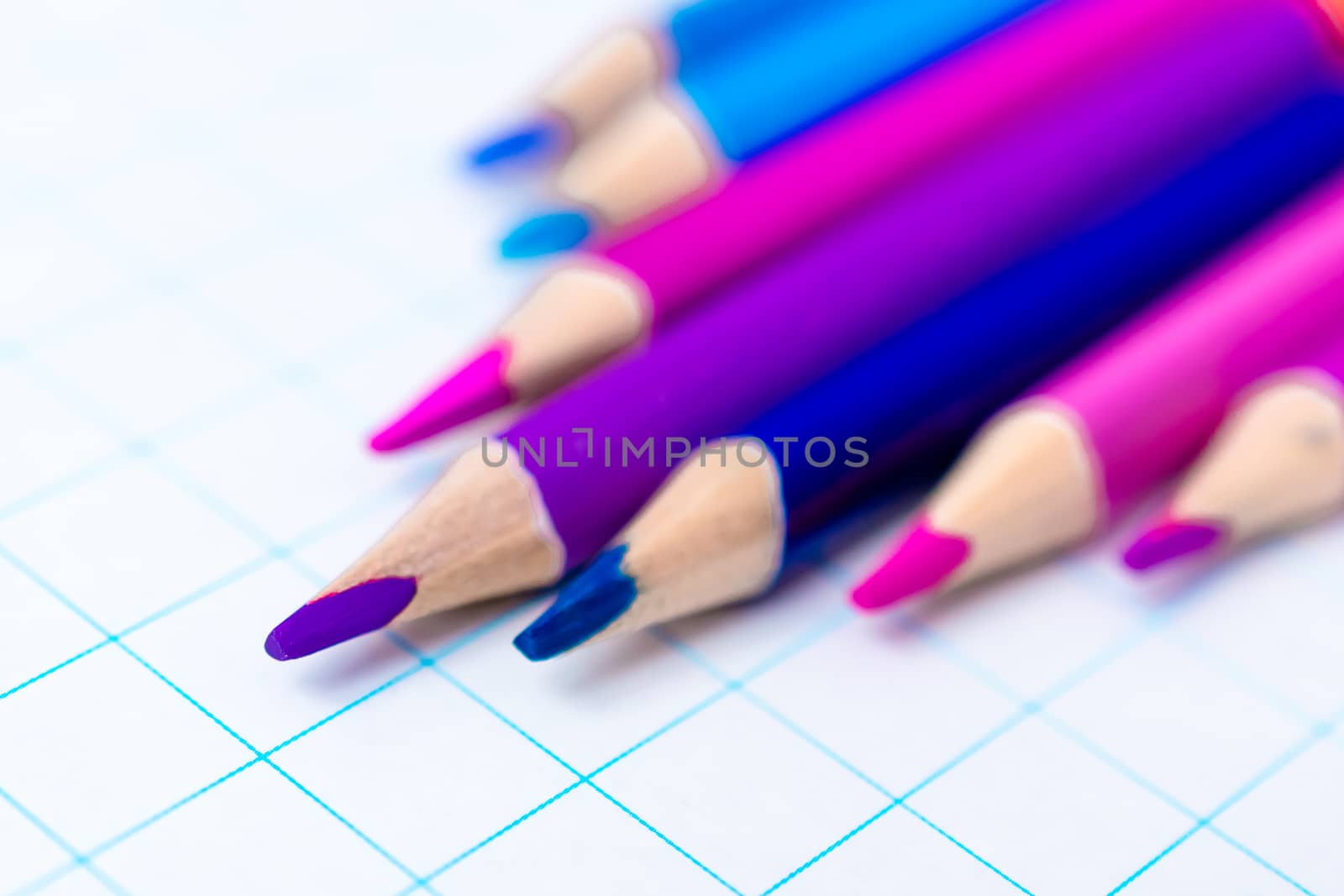 colored pencils bilateral in the set