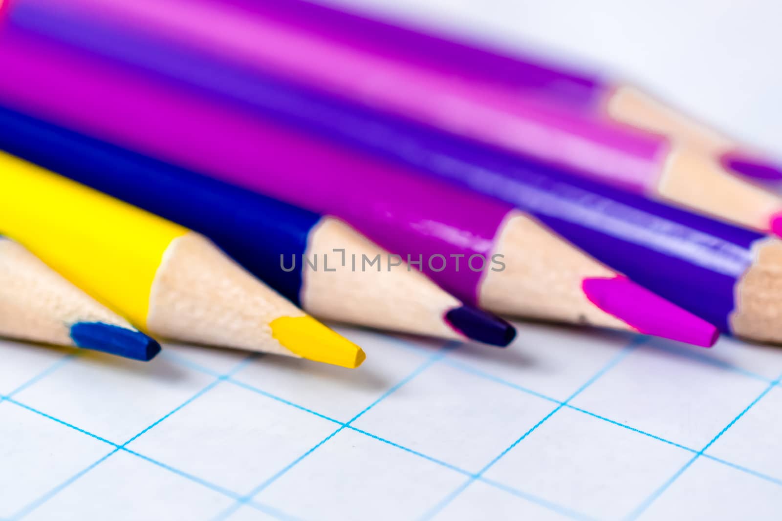 colored pencils bilateral in the set
