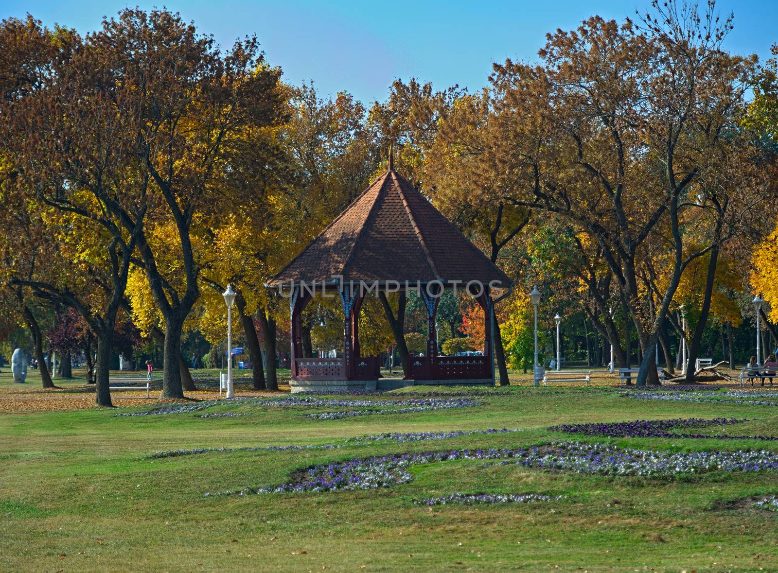 Open shed in park surrounded with trees during autumn time by sheriffkule