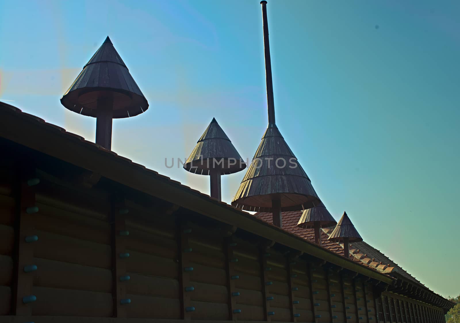 Brown wooden wall with spear like decorations on top by sheriffkule