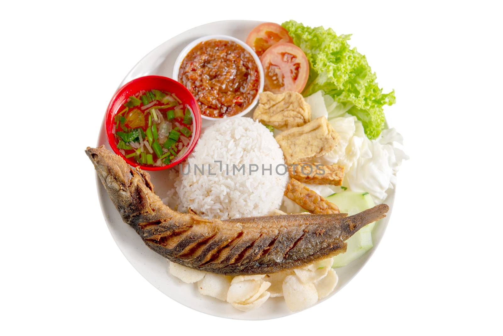 Fried catfish rice with sambal, popular traditional Malay or Indonesian local food. Isolated on white background. Flat lay top down overhead view.