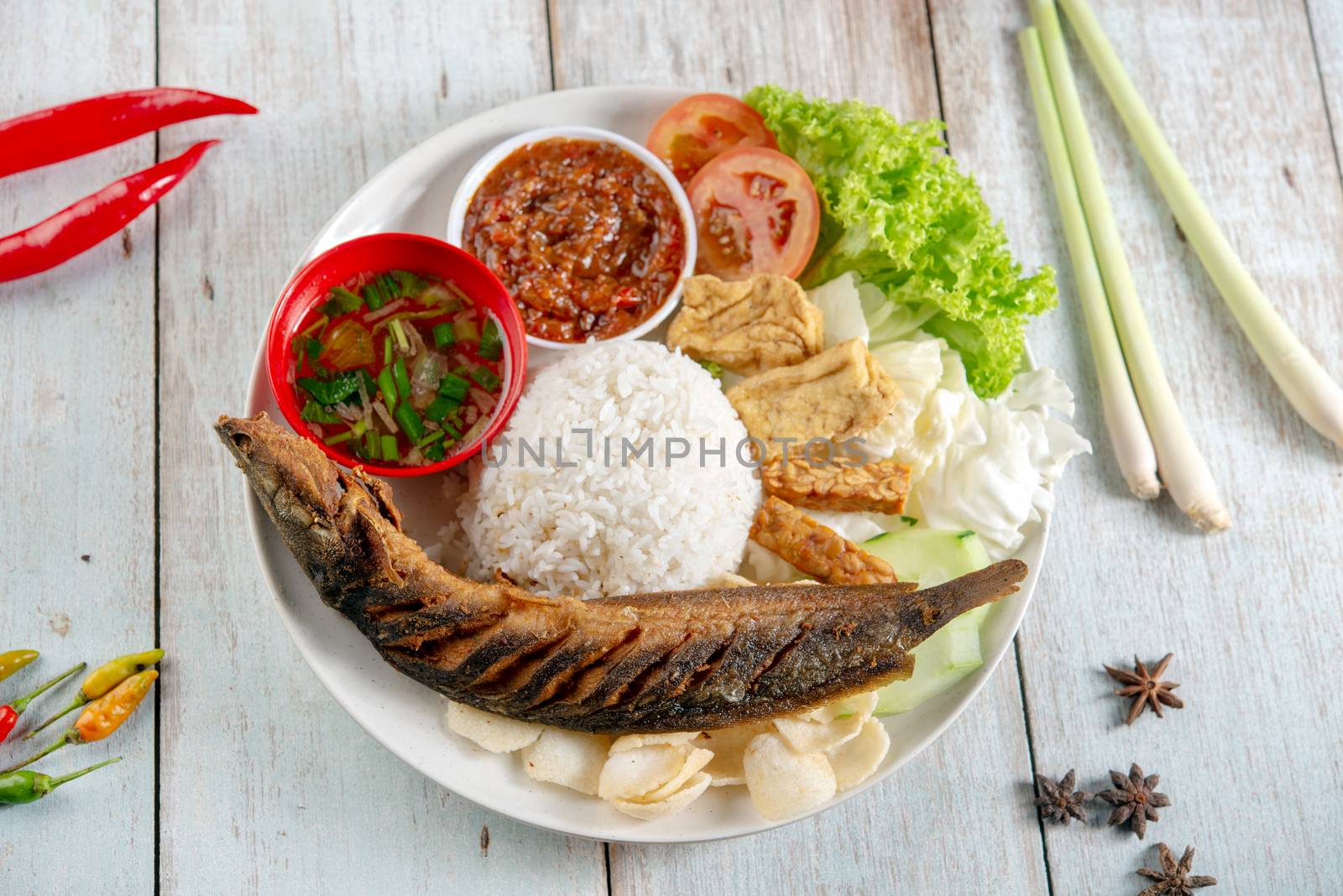 Fried catfish rice with sambal, popular traditional Malay or Indonesian local food. Flat lay top down overhead view.