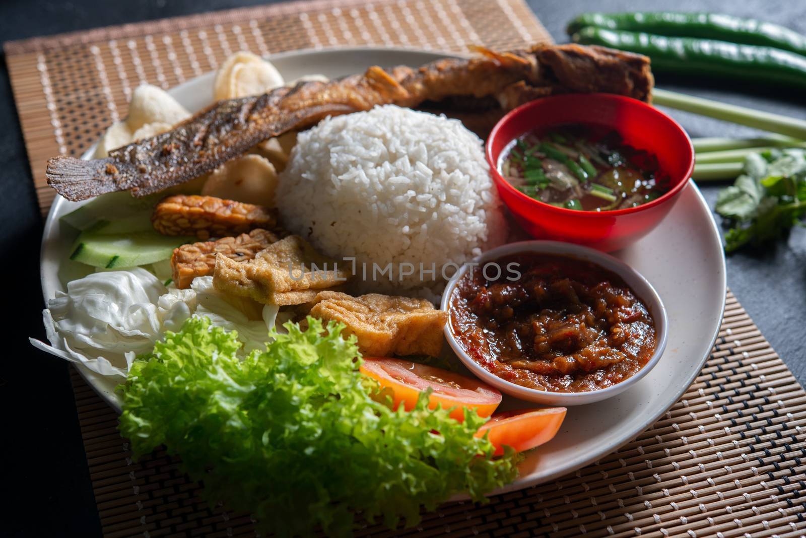 Fried catfish rice with sambal, popular traditional Malay or Indonesian local food.