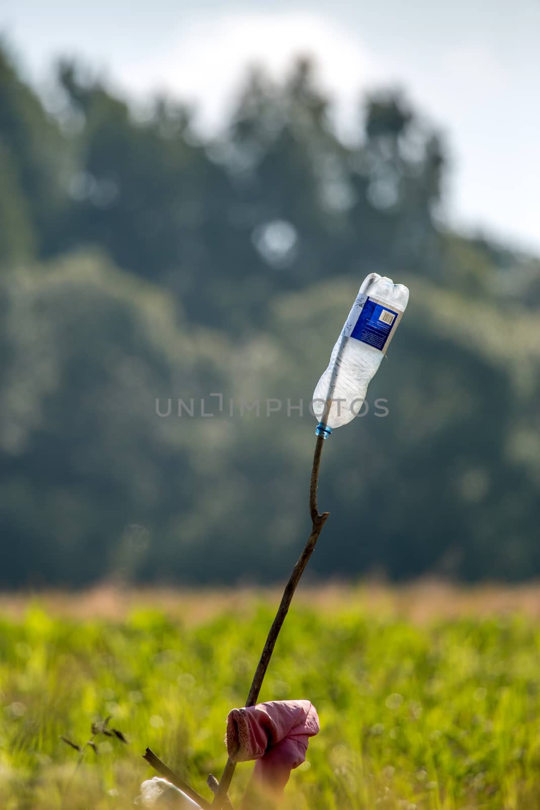 Plastic bottle on the field. Bottle is glass or plastic container with a narrow neck, used for storing drinks or other liquids.

