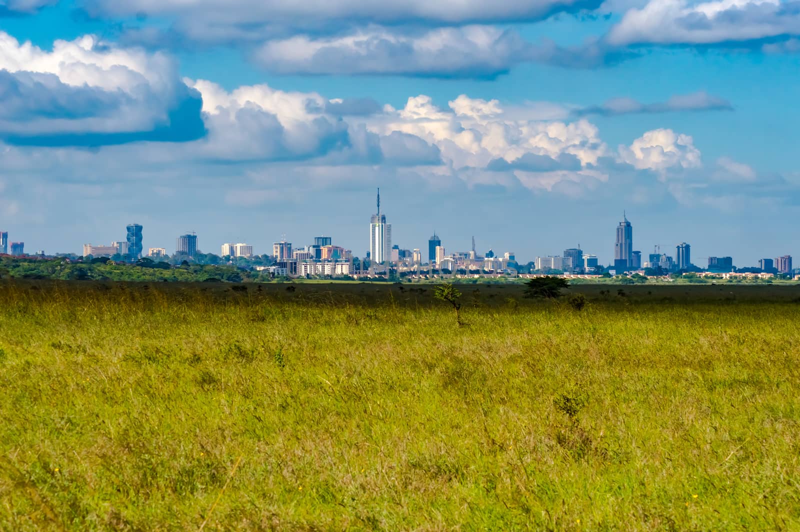 View of Nairobi park savannah with city  by Philou1000