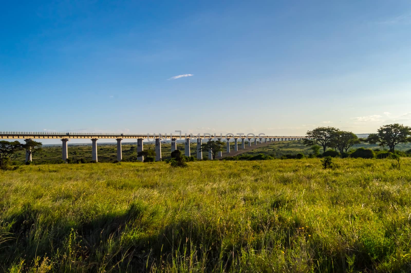 View of the viaduct of the Nairobi railroad to mombassa in the savannah of Nairobi Park in central Kenya