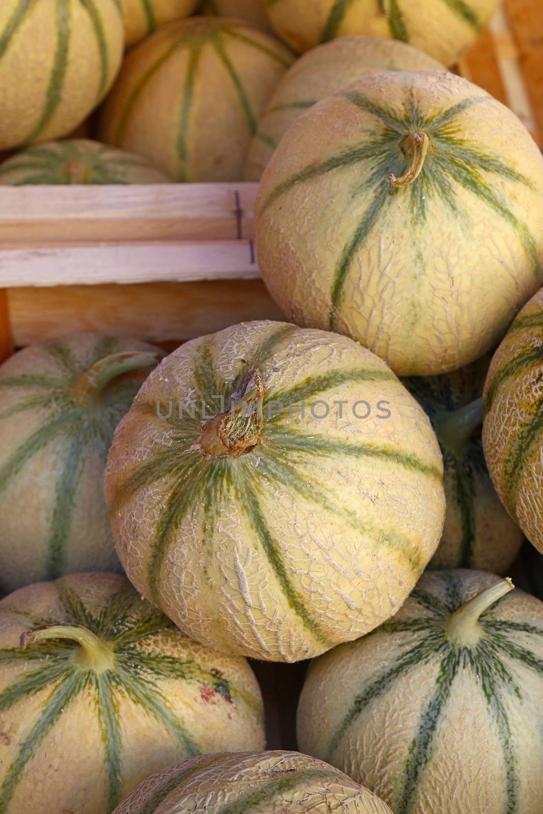 Close up fresh cantaloupe melons on retail display by BreakingTheWalls