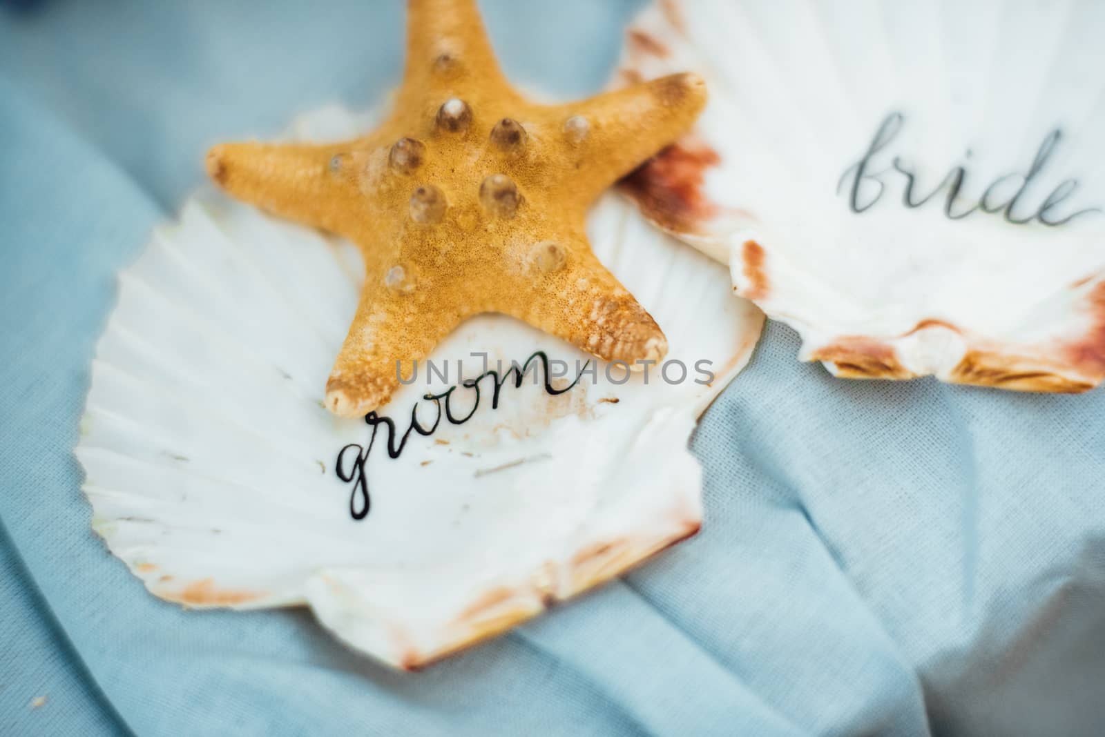 starfish and seashell wedding decor