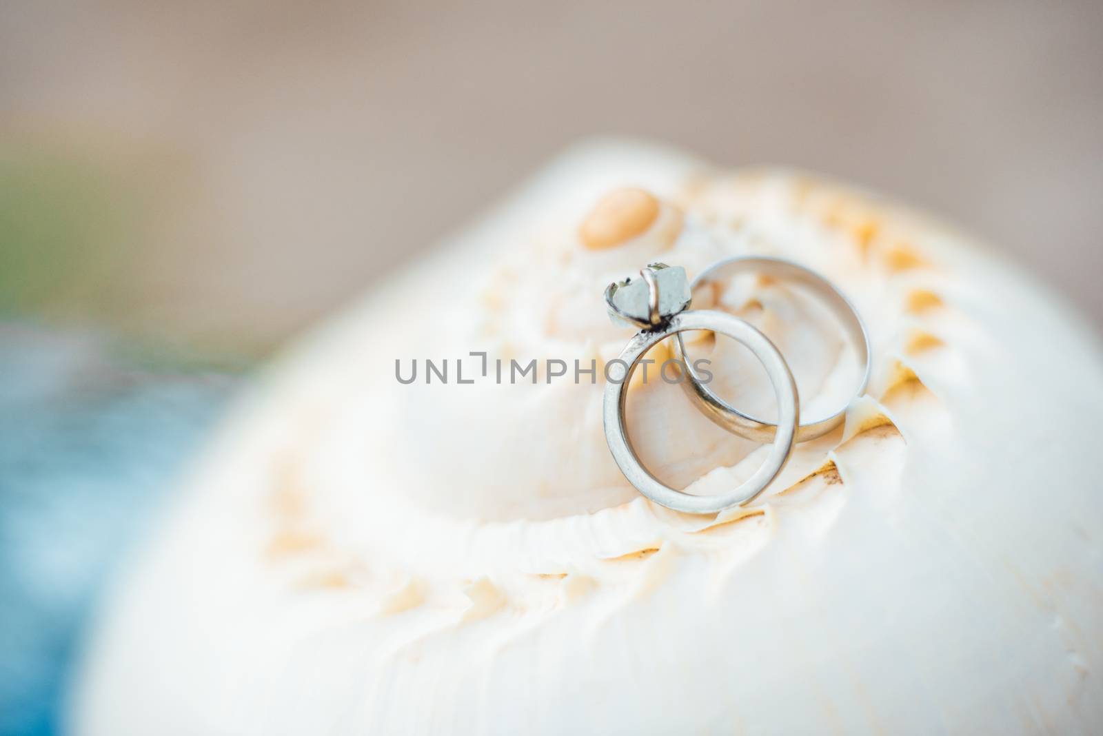 gold wedding rings on the sea shell