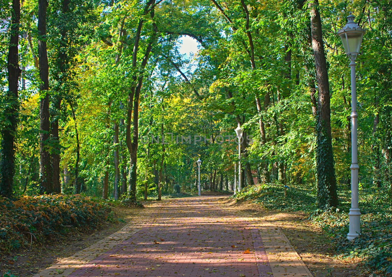 Red bricks pathway in Palic park, Serbia by sheriffkule