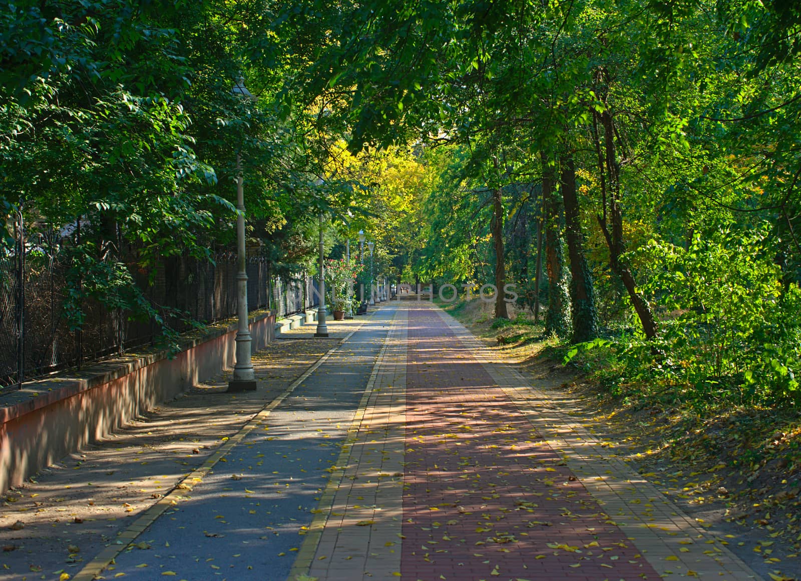 Red bricks pathway in Palic park, Serbia by sheriffkule