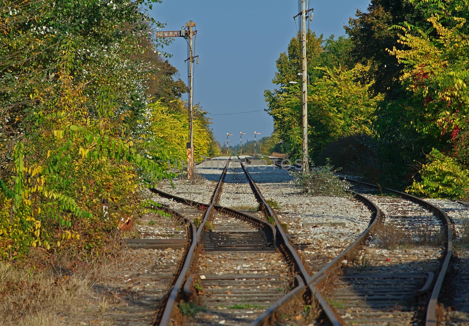 Empty railway tracks with greenery on both sides