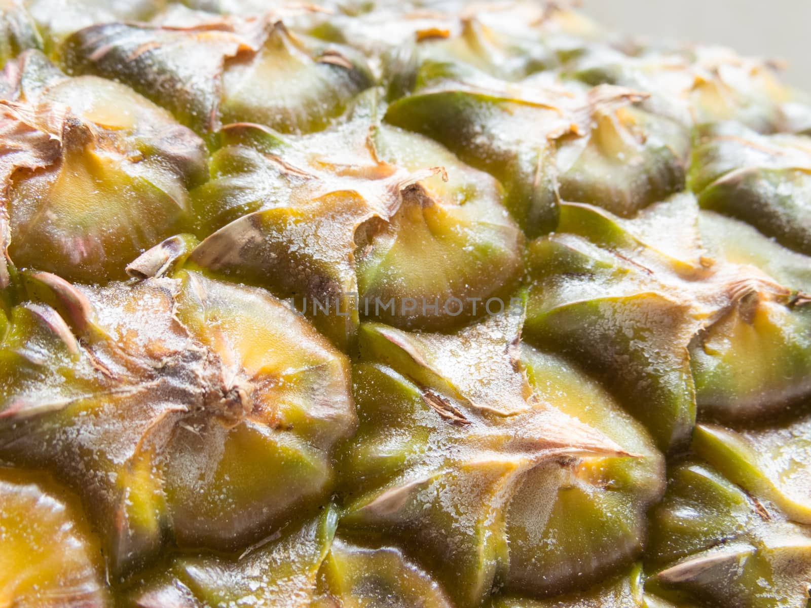 Pesticides in agriculture, close-up view of pineapple bark with pesticide coating its surface