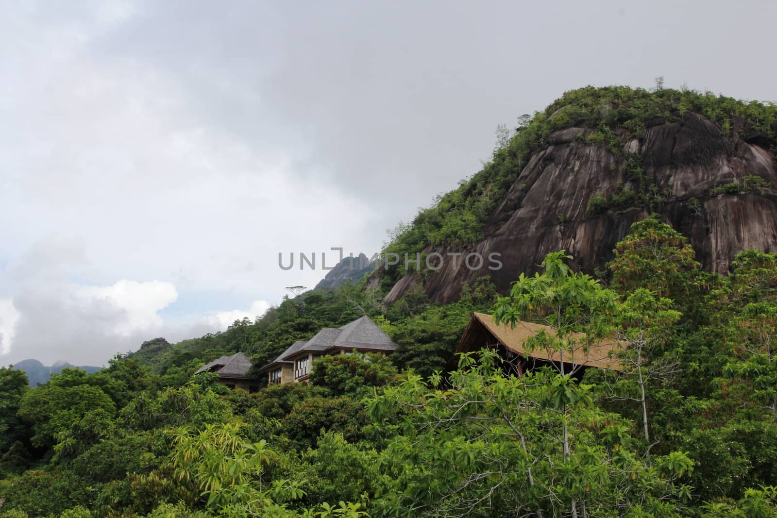 Green tropical trees on the mountain slopes.