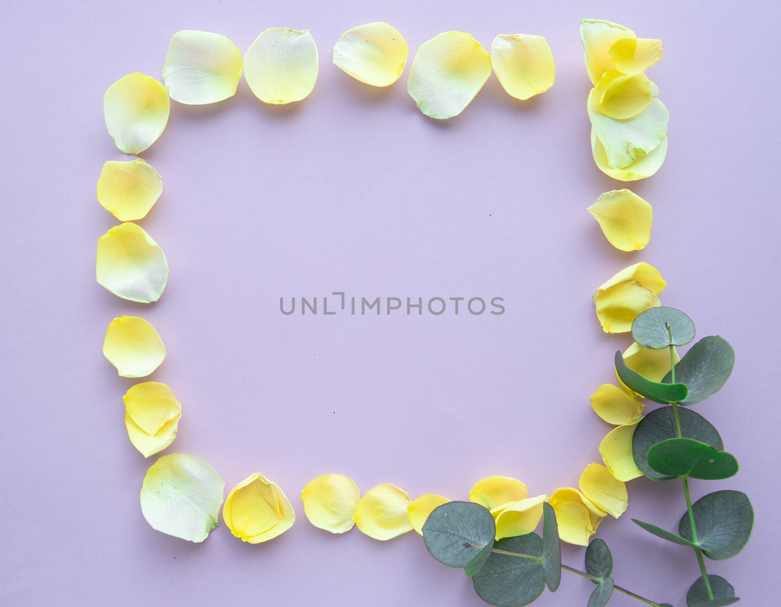 Flower frame with rose petals on pastel pink background. Flat lay, Valentine background.