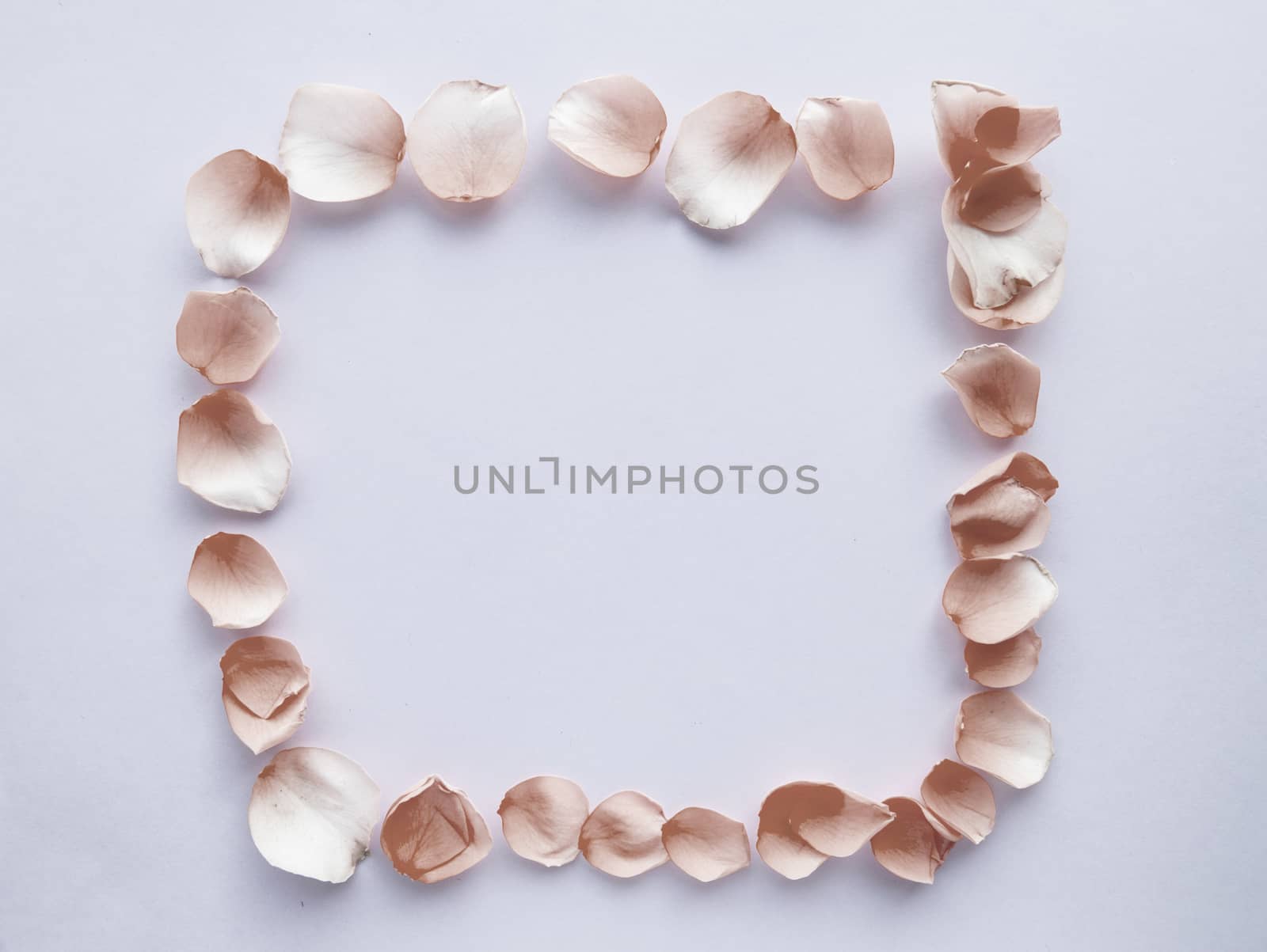 Flower frame with rose petals on pastel pink background. Flat lAY, ROMANTIC background.