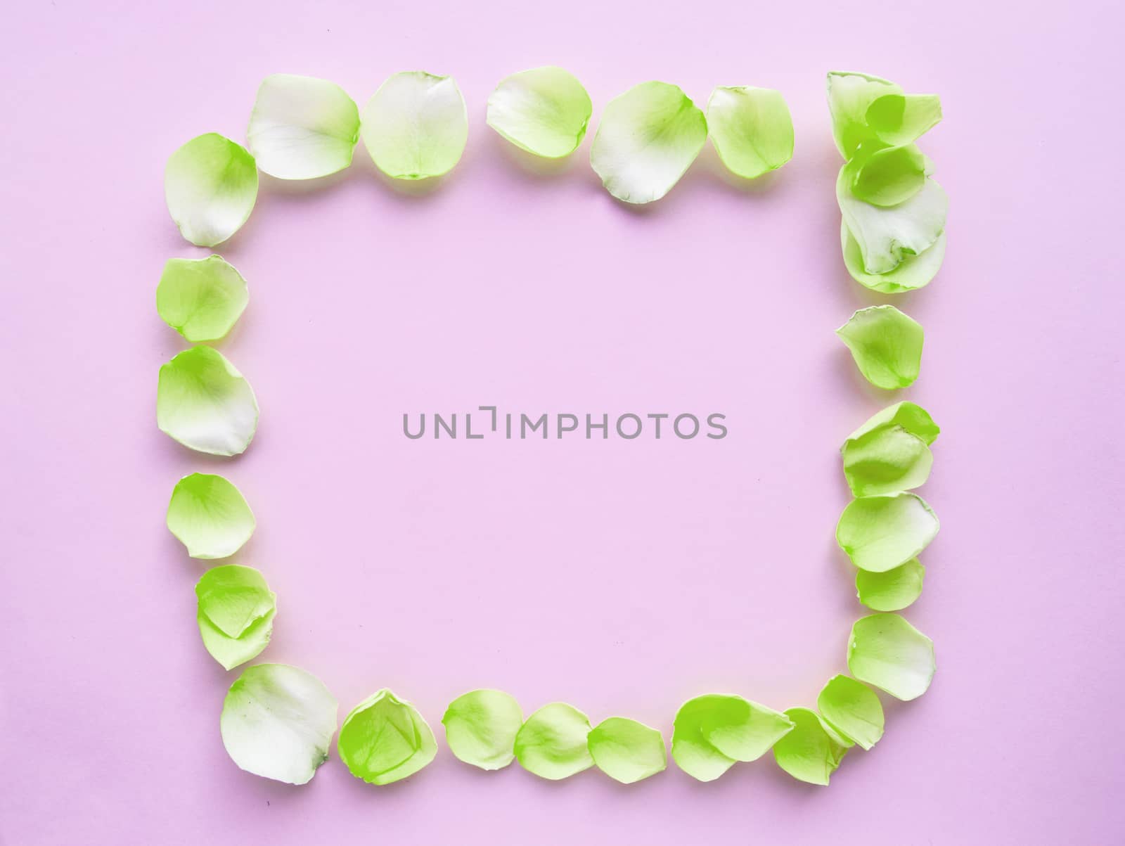 Flower frame with rose petals on pastel pink background. Flat lAY, ROMANTIC background.