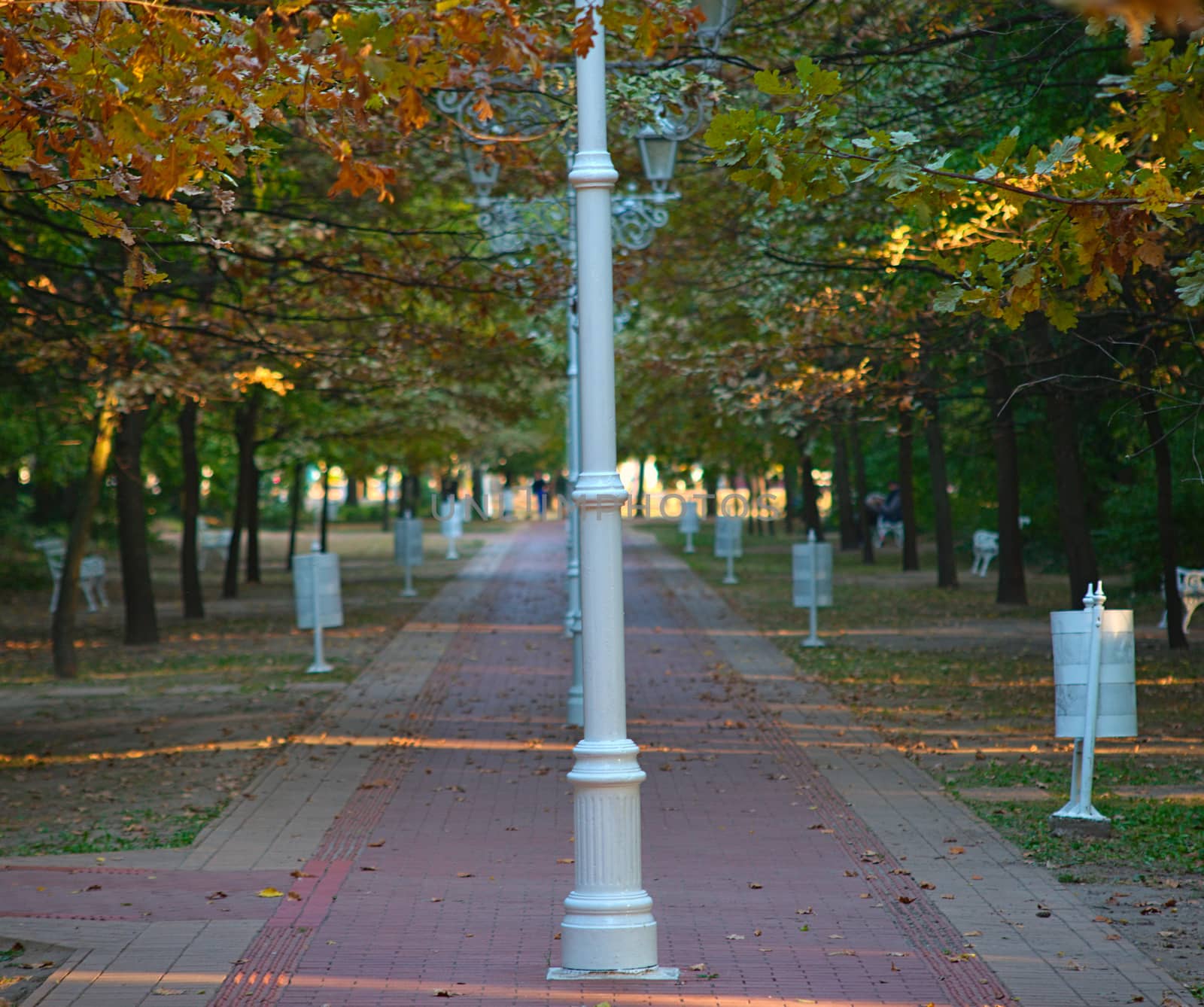 Red bricks pathway with row of lanterns in middle