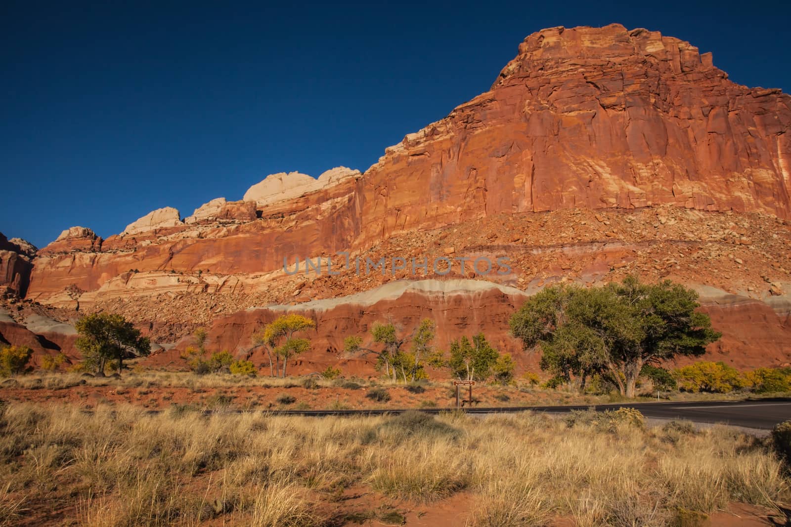 A roadside view of sandstone formations in the Capitol Reef National Park