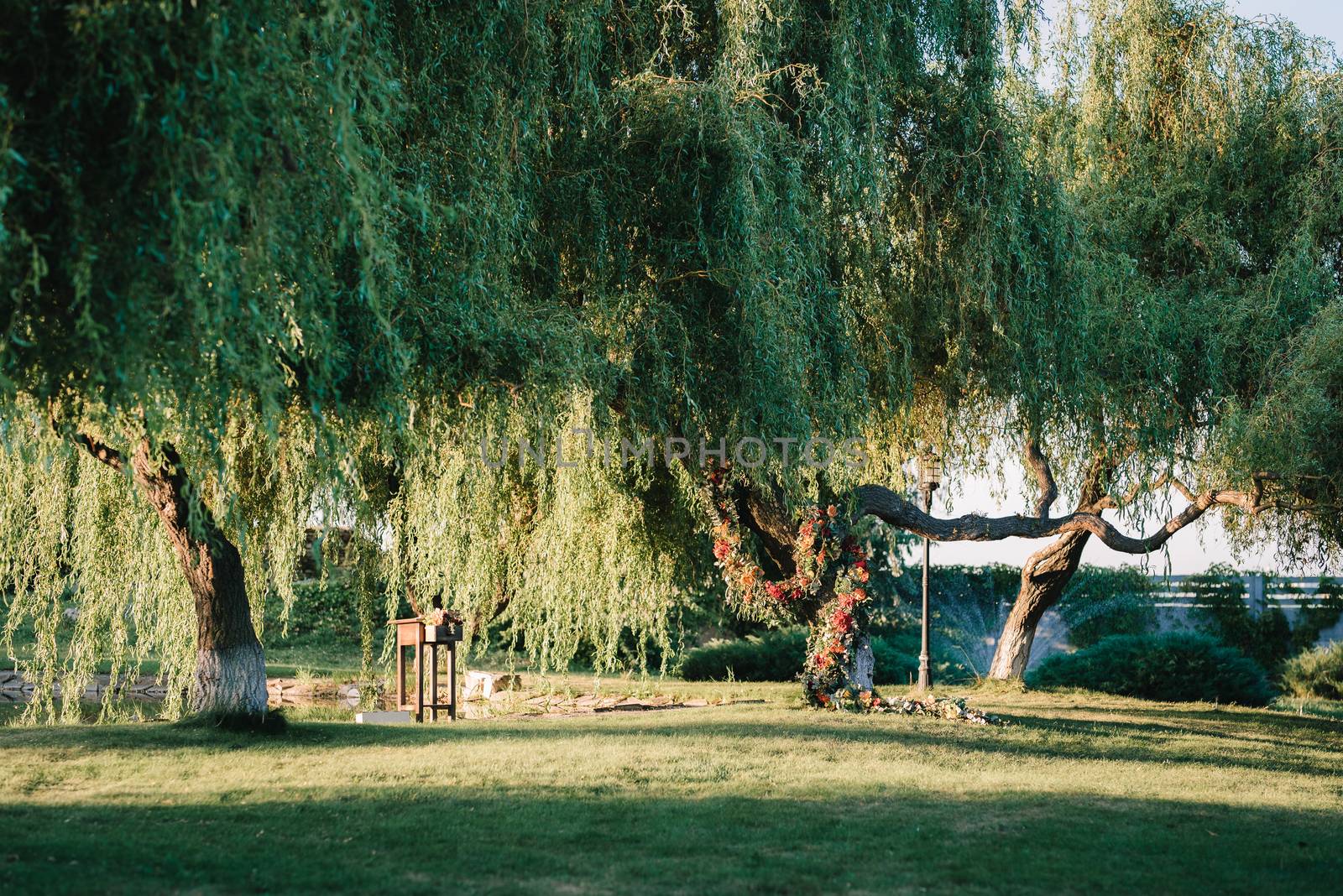 wedding ceremony area, arch chairs decor  by Andreua