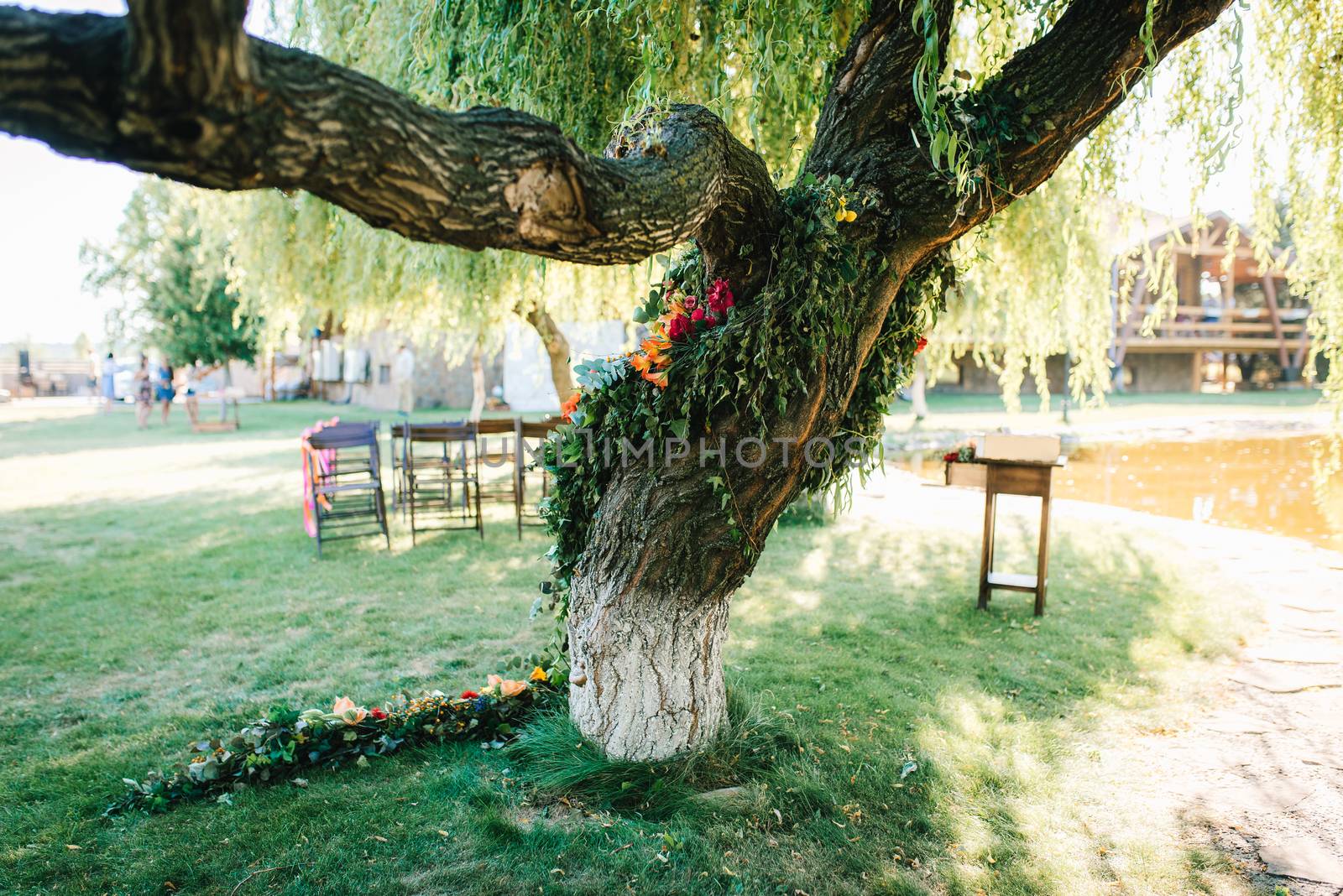 wedding ceremony area, arch chairs decor with trees