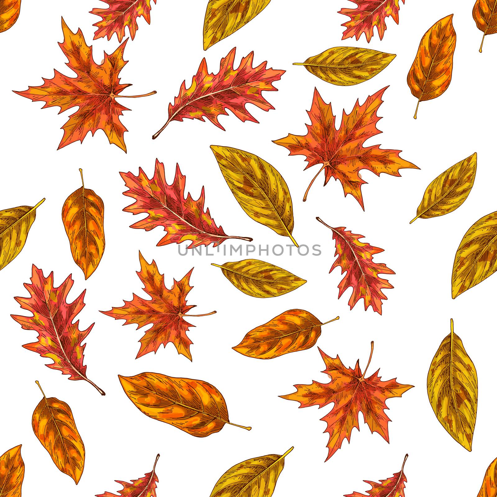 Seamless pattern with autumn leaves isolated on white background. Seasonal autumn collection illustration