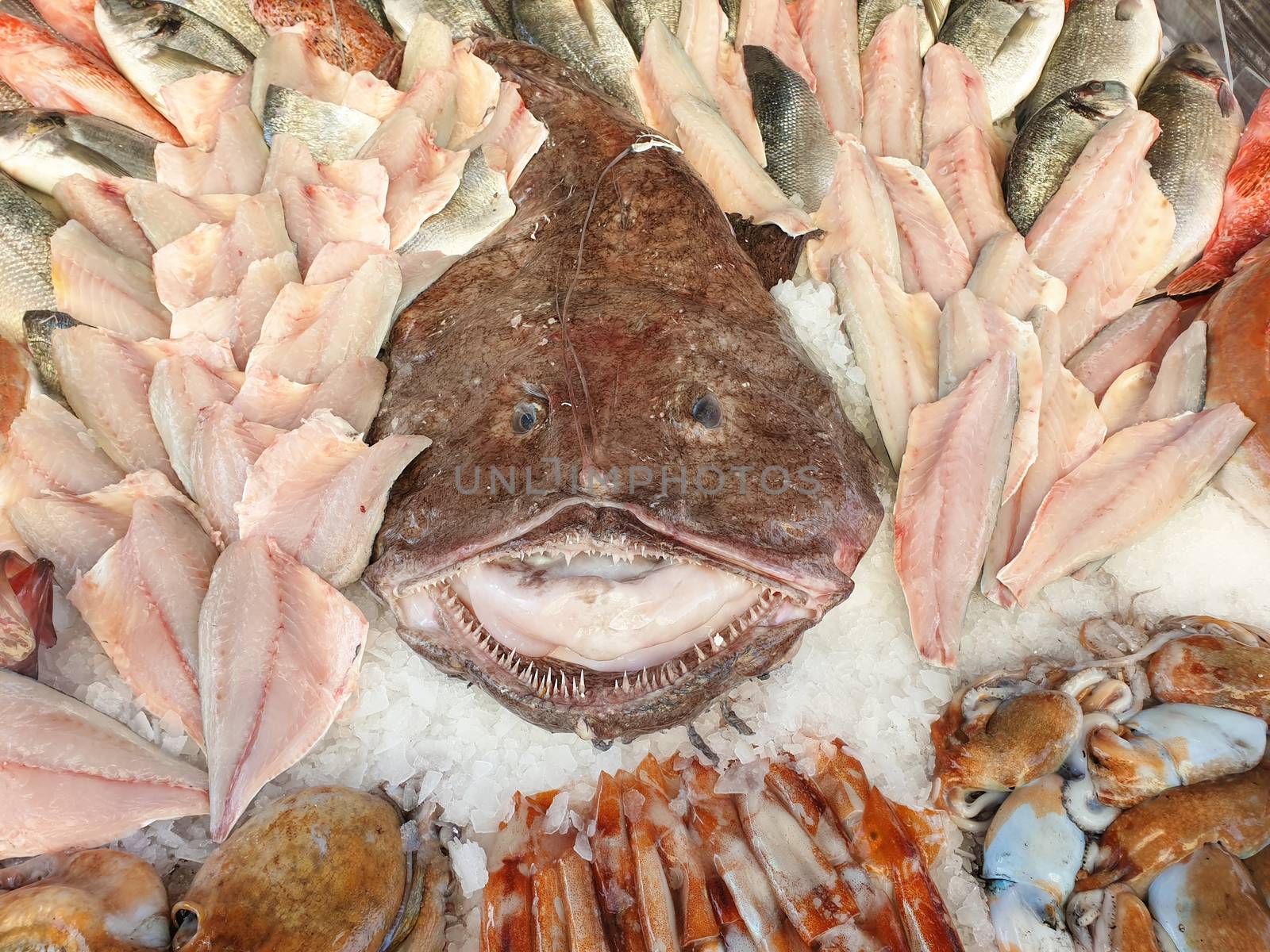 Fresh fish at the fish market stall, in the center a large monkfish