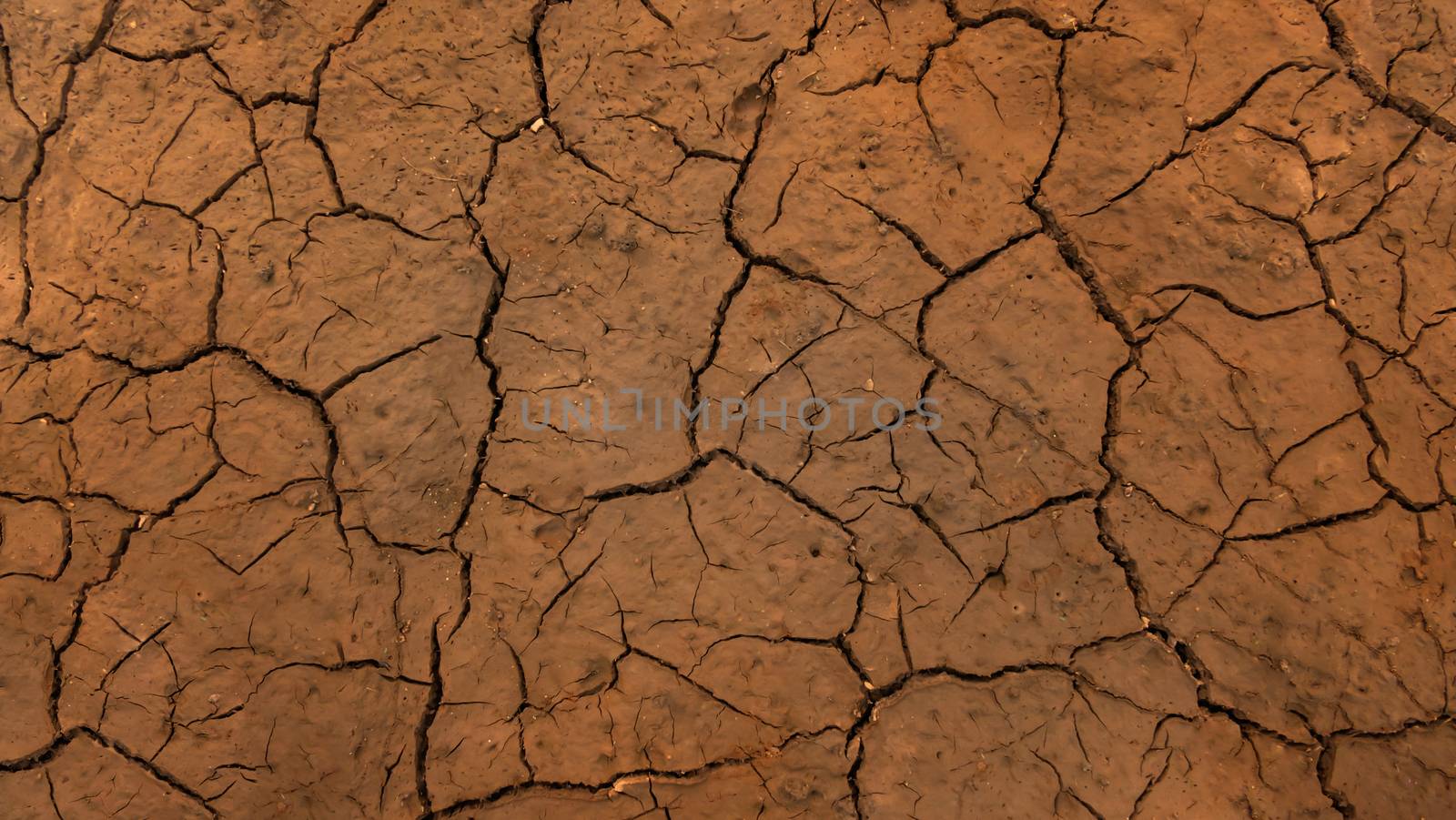 Texture of grunge dry cracking parched earth , Global warming effect