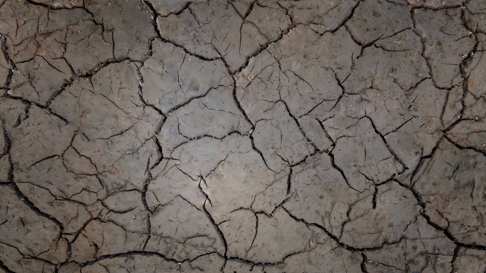 texture of cracked soil by rakratchada