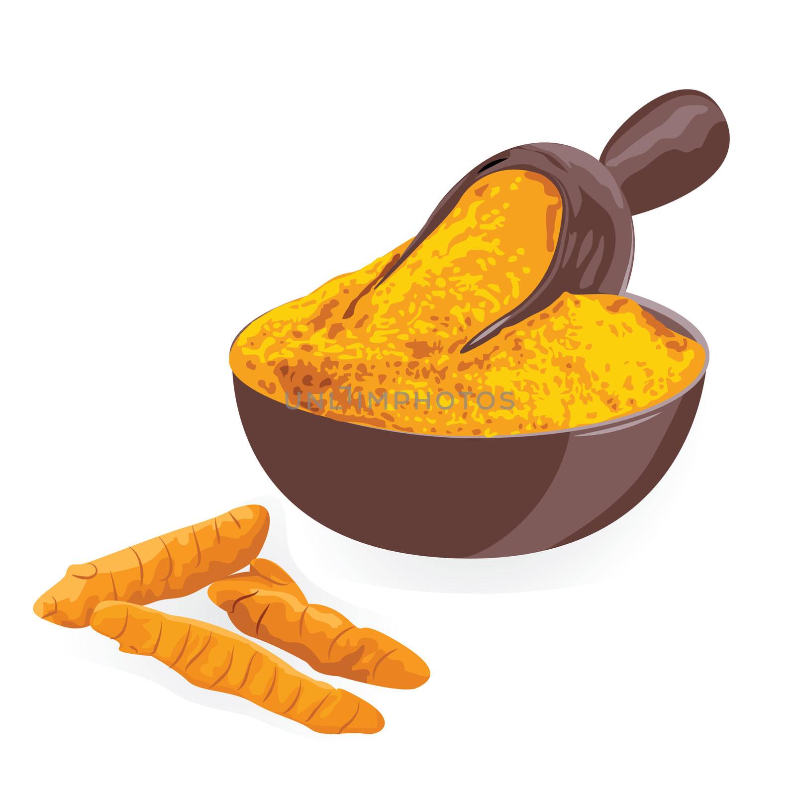 Turmeric roots and powder in in a bowl on a white background vector illustration