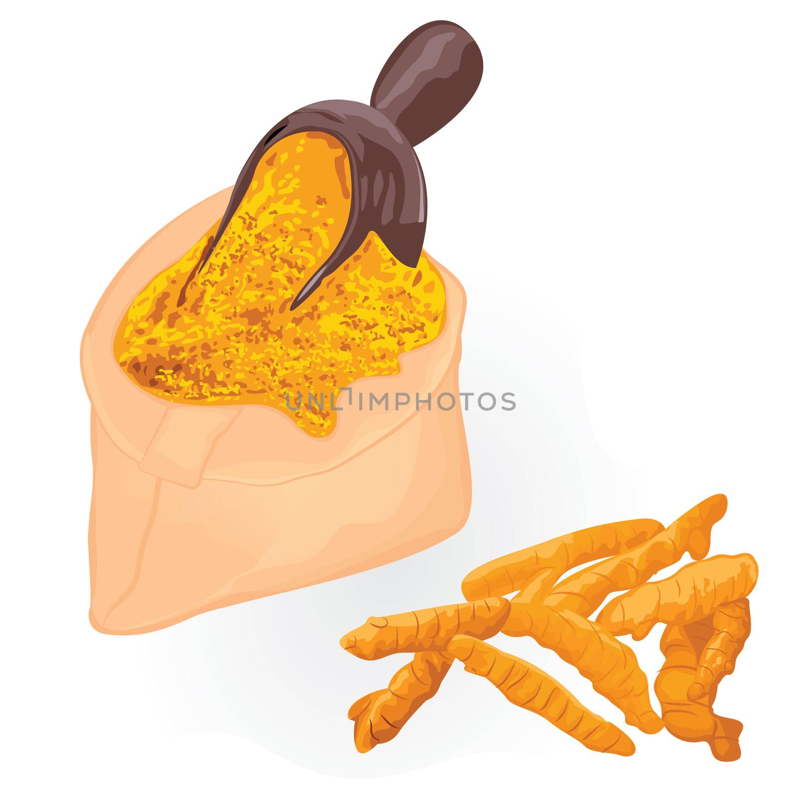 Turmeric roots and powder in a bag on a white background vector illustration
