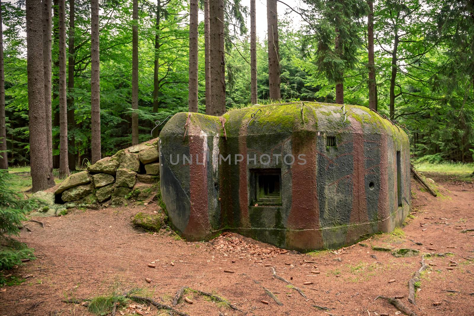 Camouflaged bunker WWII in the dark forrest by petrsvoboda91