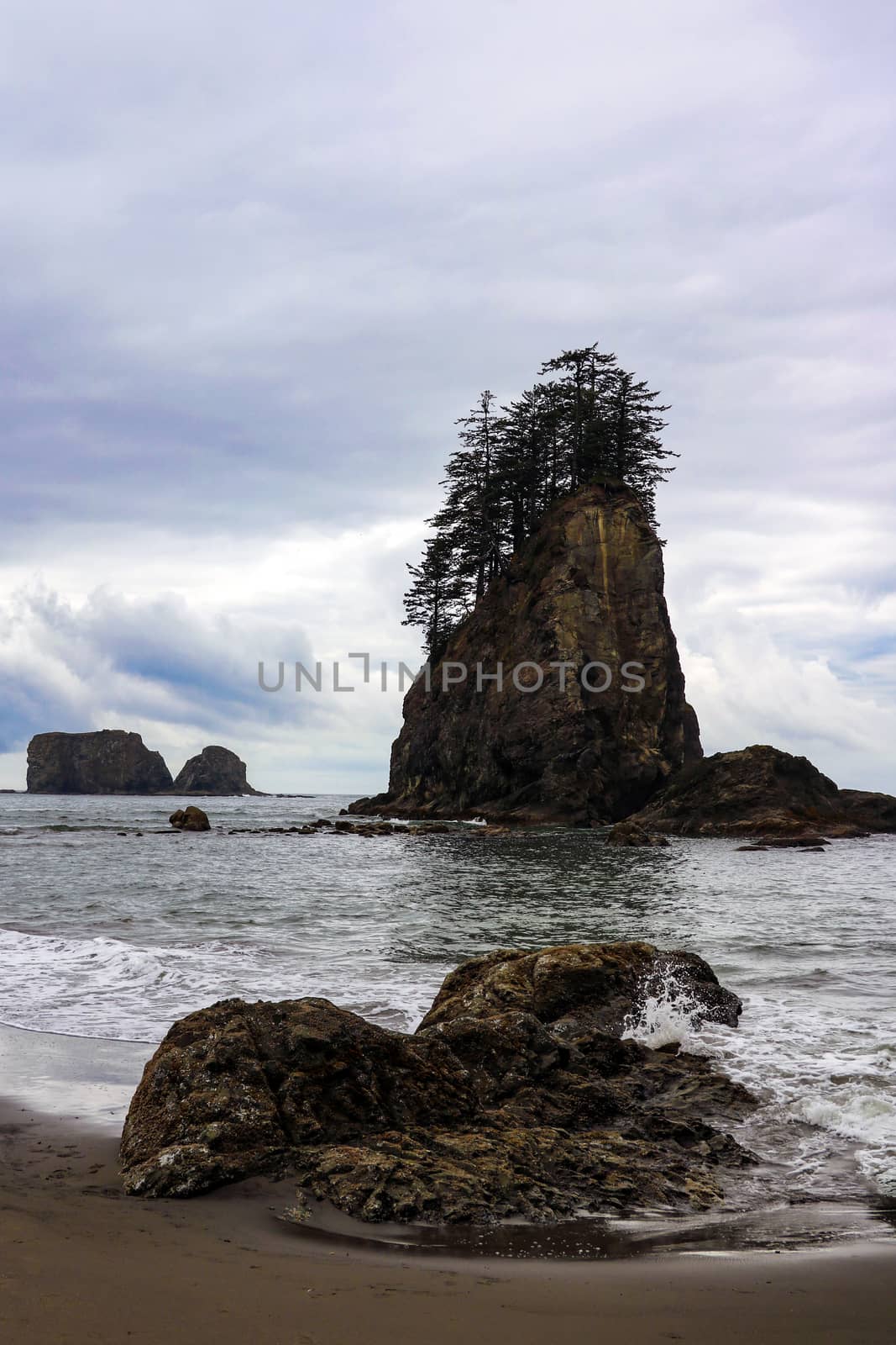Beautiful view of the beach in the Olympic National Park, Washington, USA. by kip02kas