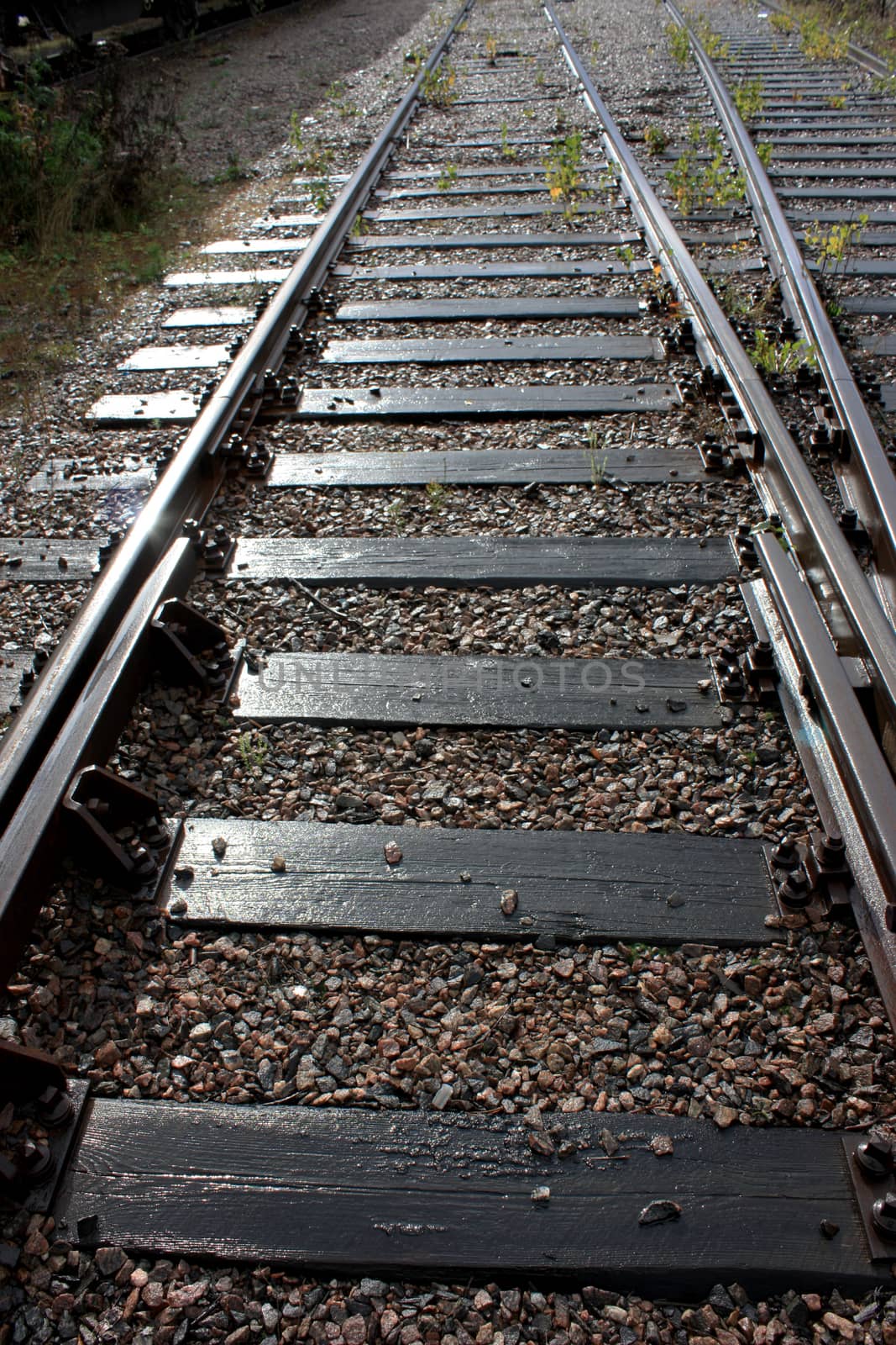 railroad going to the perspective of sunny days.