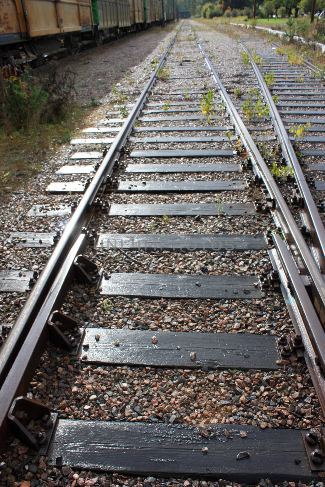 railroad going to the perspective of sunny days.