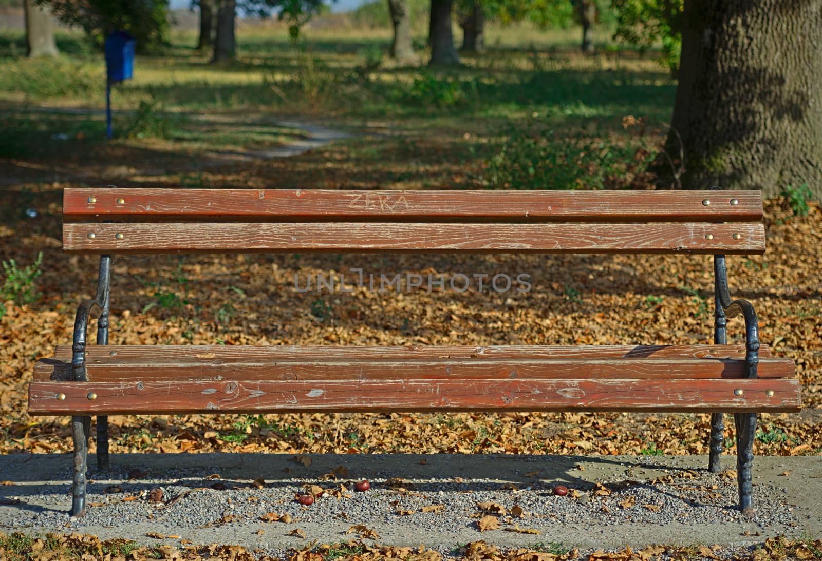 Front view on a brown bench on red bricks with nature behind it by sheriffkule