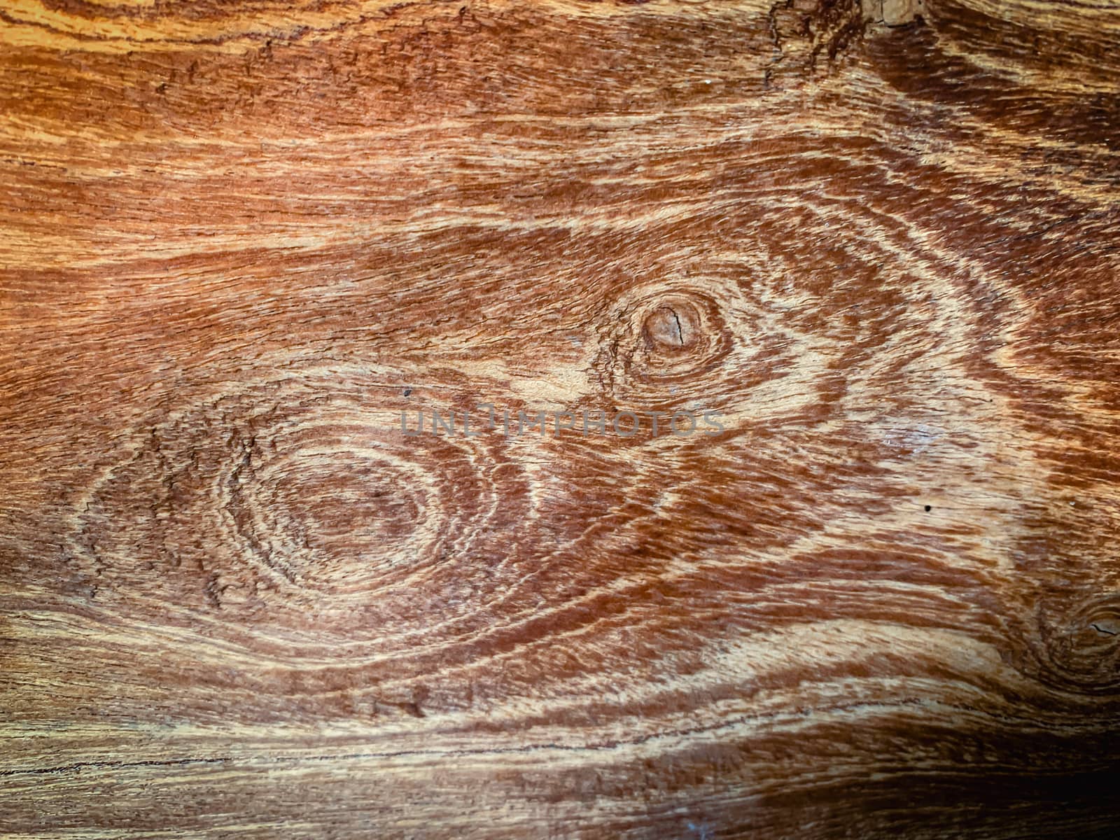 Background texture of old wood