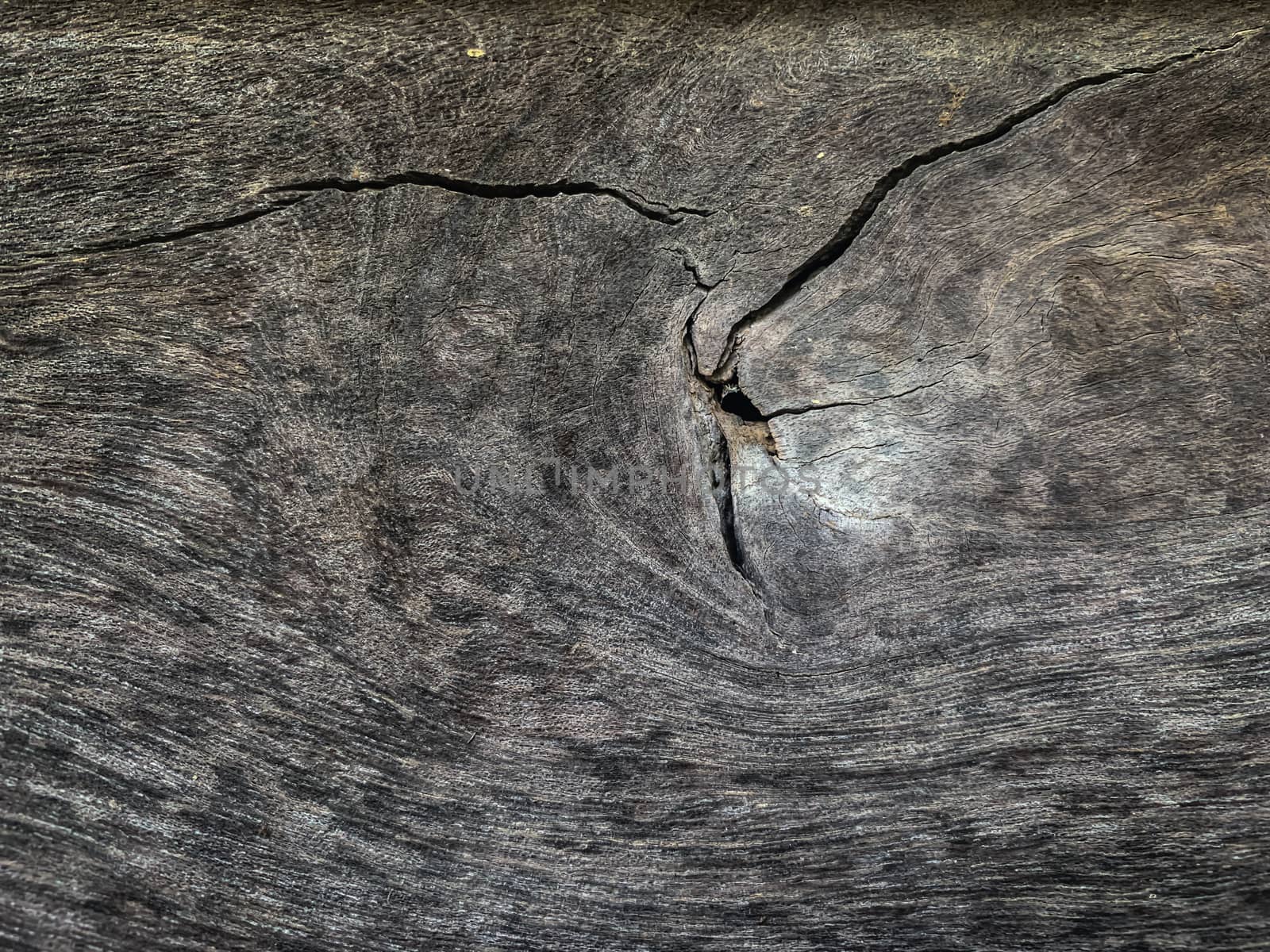 Background texture of old wood