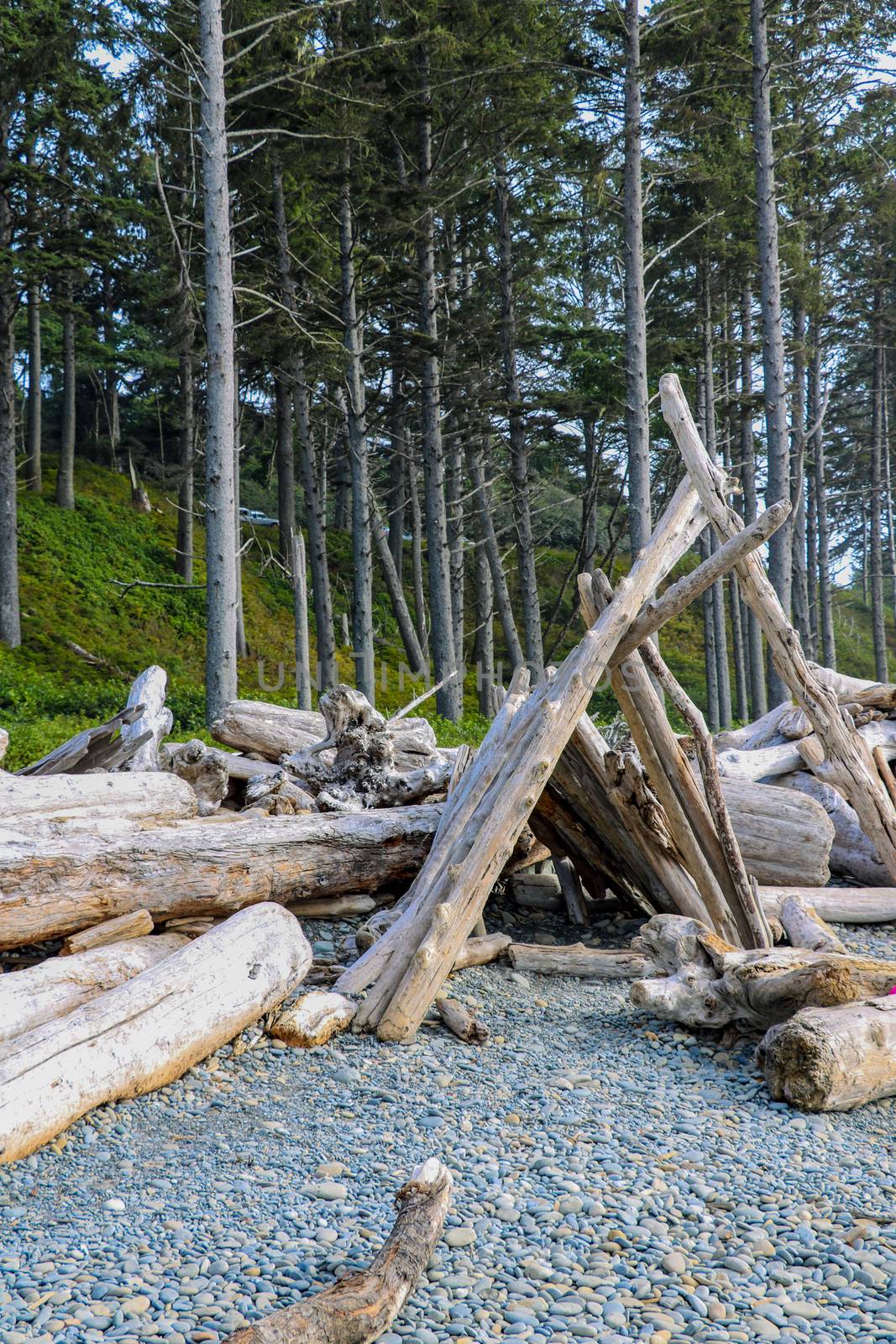 Beach landscape in Olympic National Park, Washington, USA