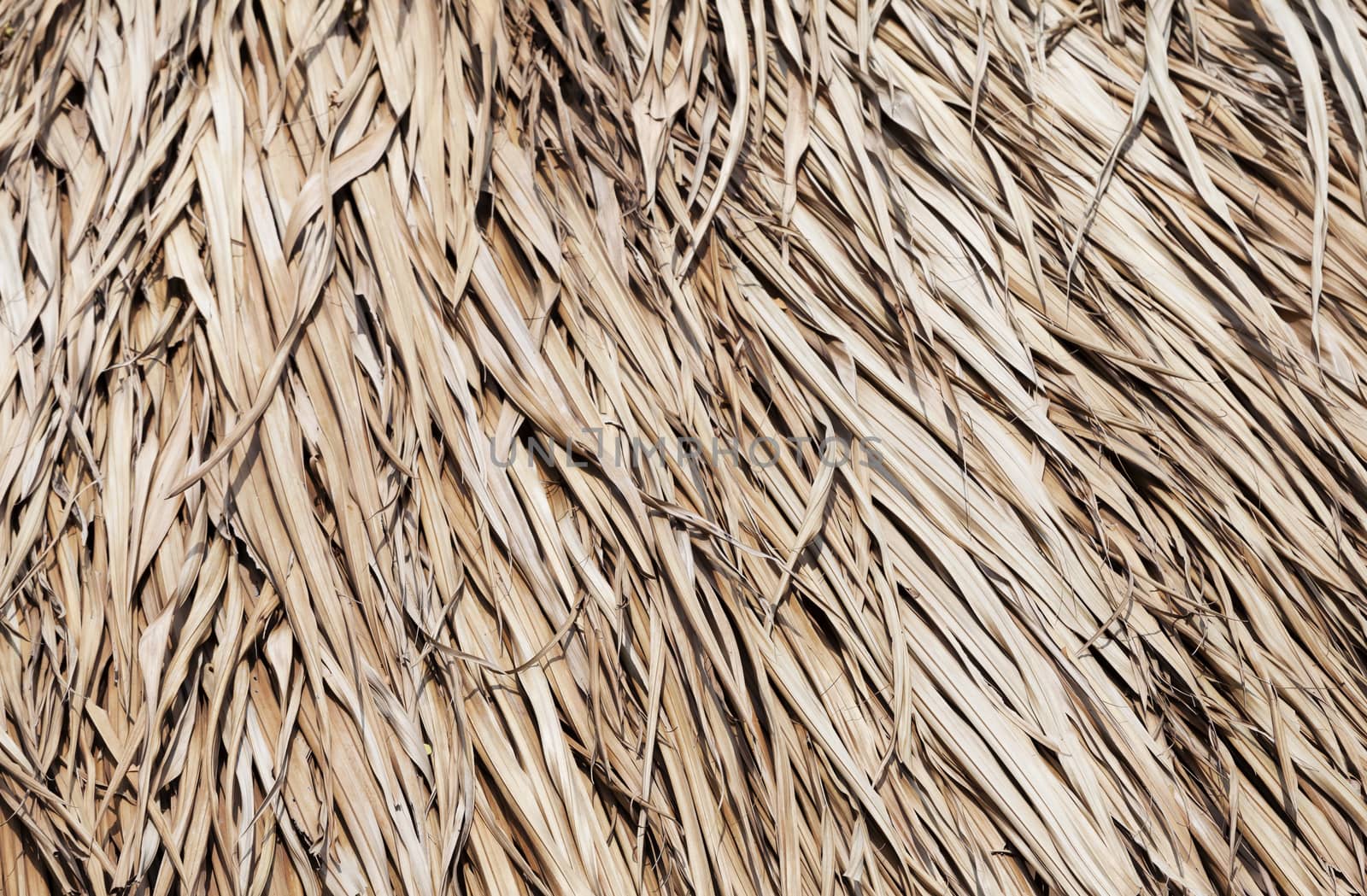 Close up of thatched roof for texture or background