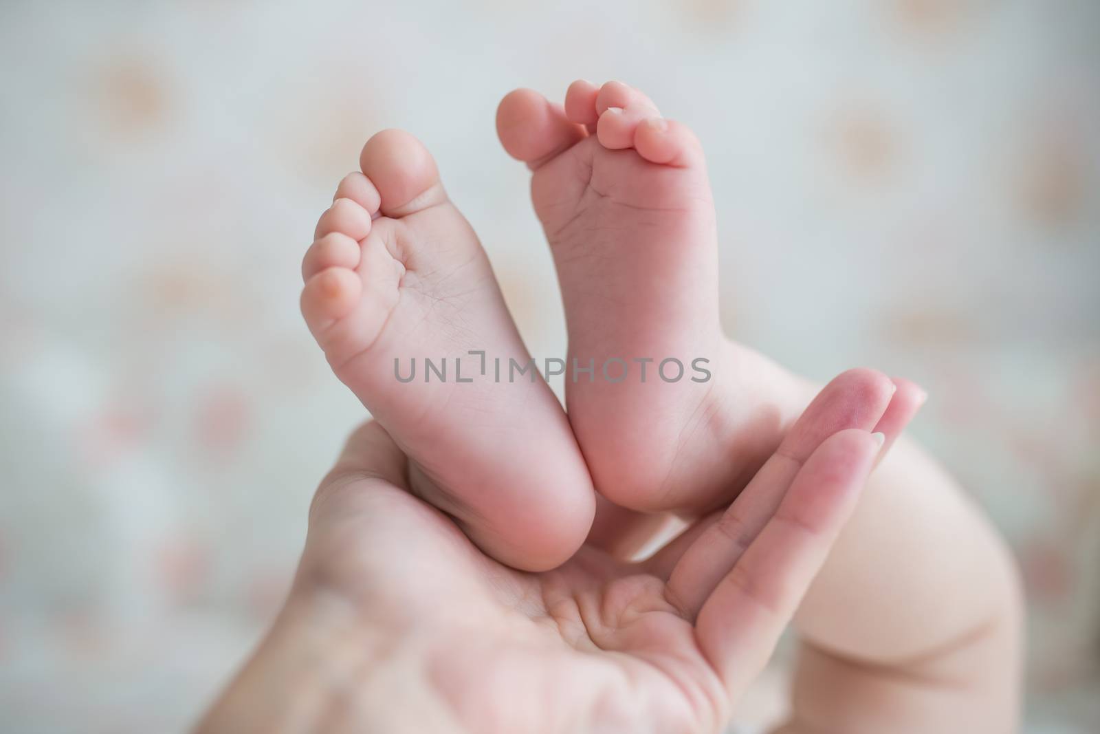 Tiny newborn baby feet on female hands closeup