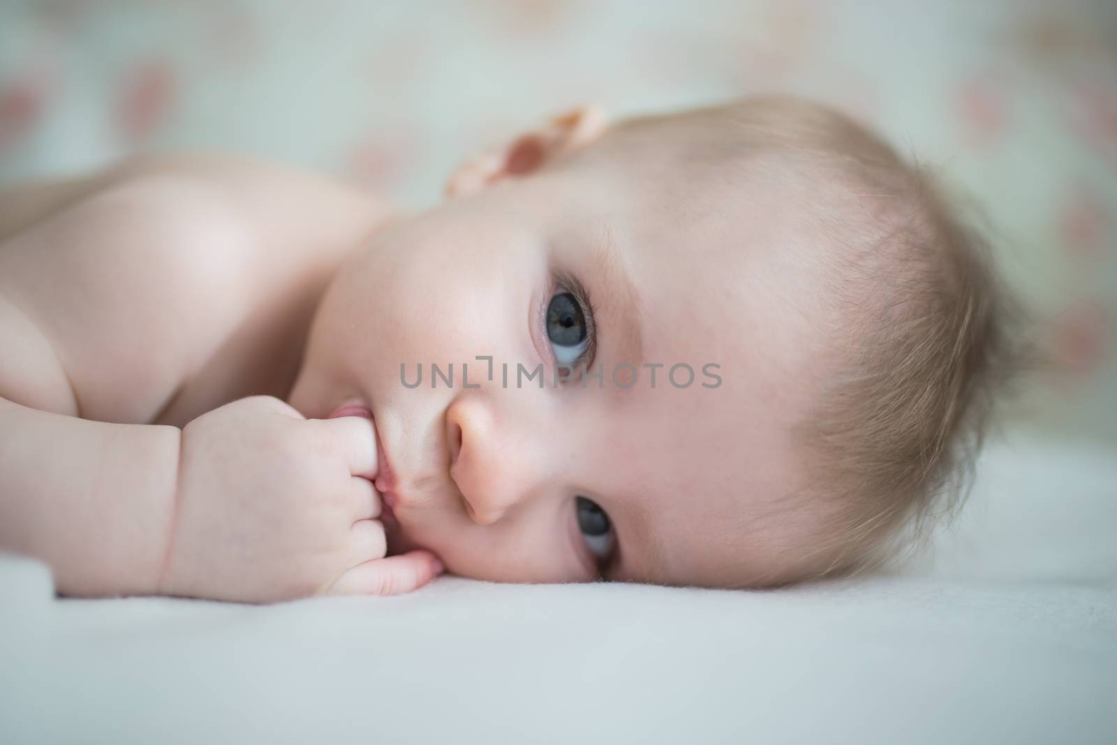 Baby boy close-up holding finger in mouth by Angel_a