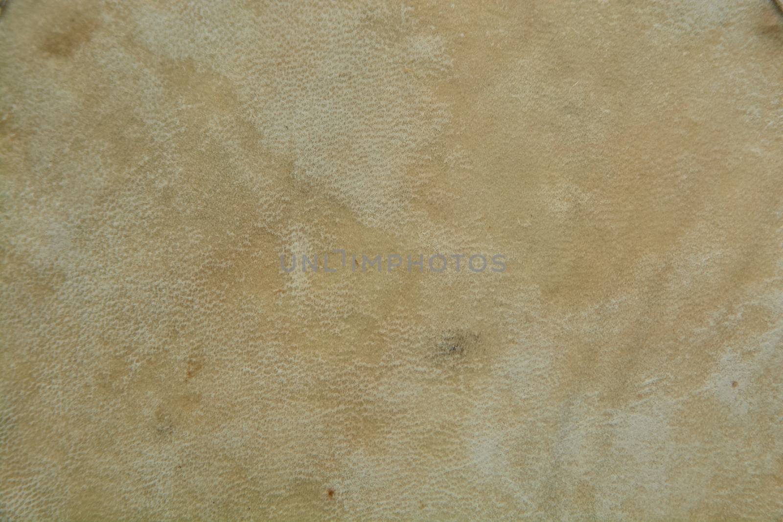 Backgraund texture of real leather tanned for drum in light colors.