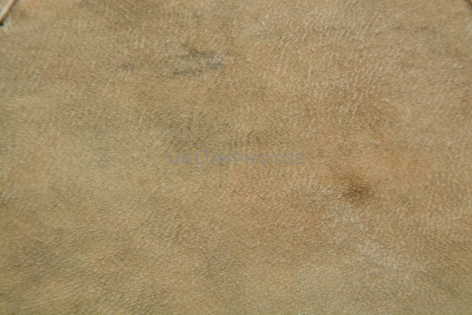 Backgraund texture of real leather tanned for drum in light colors.