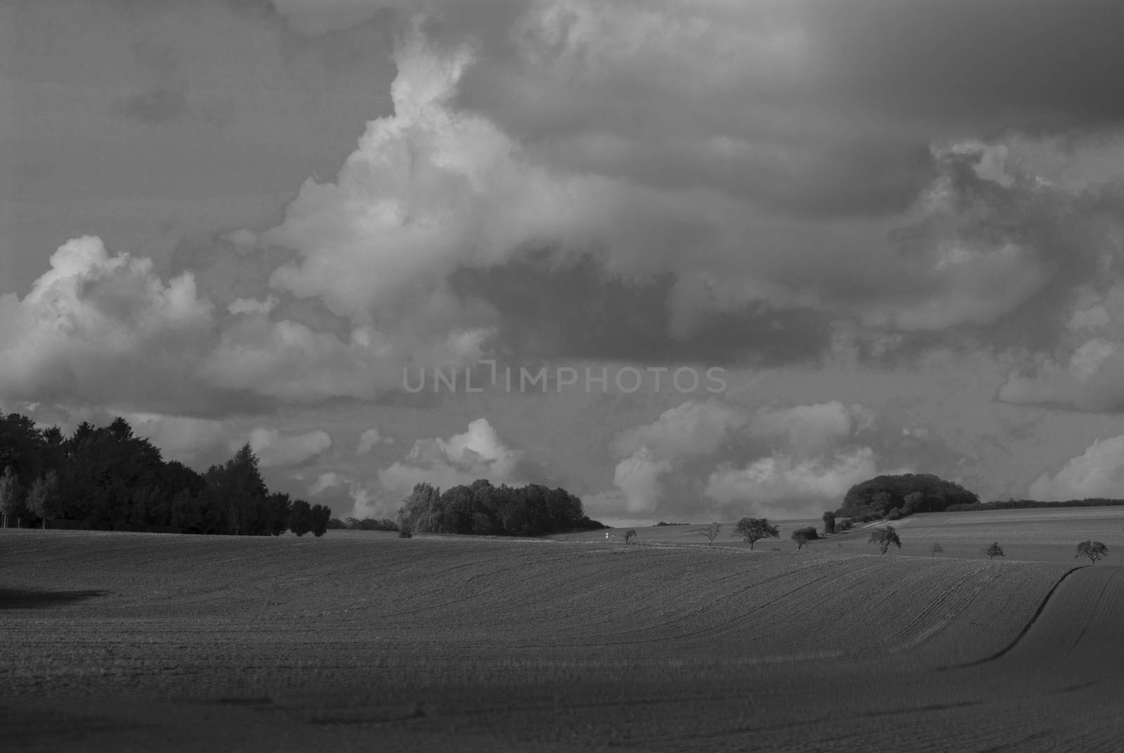 Black and white landscape photo with trees, field, sky. Germany by Lenkapenka