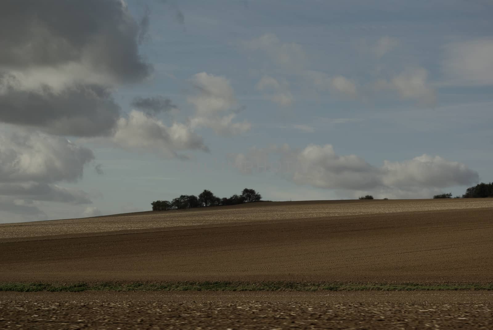 Beautiful field landscape color photo. Agricultural field by Lenkapenka