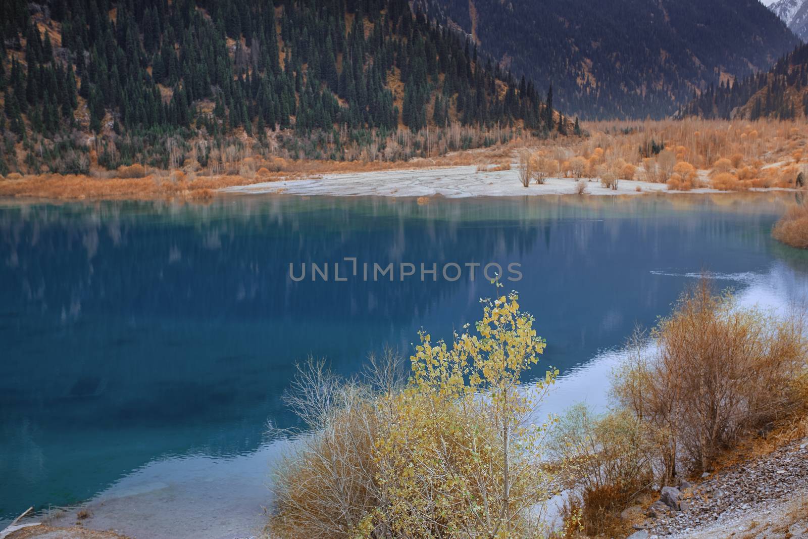 Moraine Lake with plants and trees in Canada. Alberta, Banff